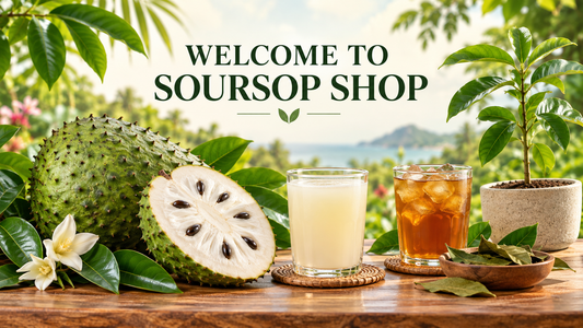 Welcome to Soursop Shop: Fresh, Natural and Made With Love