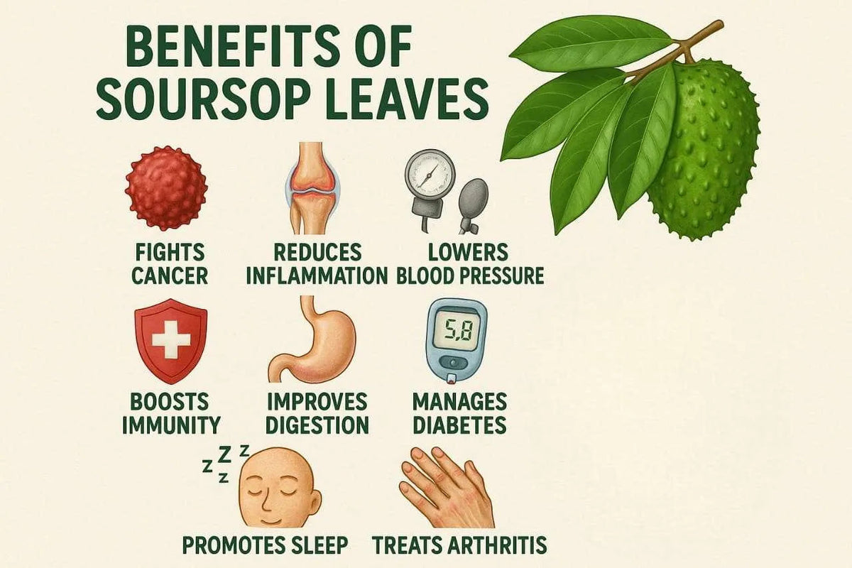 Organic soursop leaves | 1 ounce bag | All natural and pesticide free